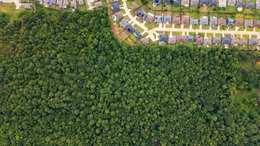 51 acres in SMITH County - photo 29