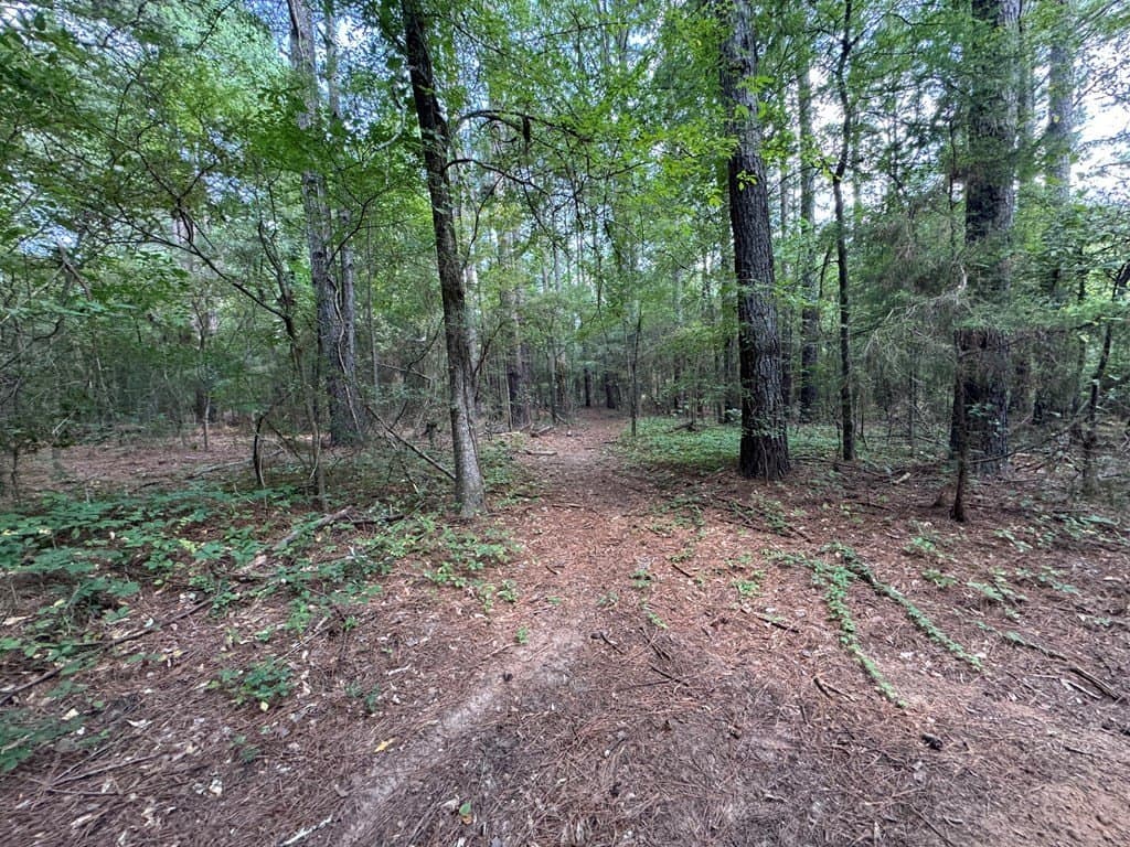 51 acres in SMITH County - photo 3