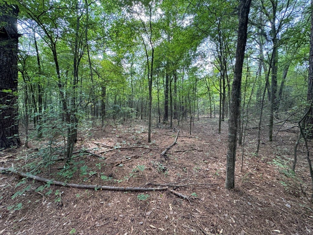 51 acres in SMITH County - photo 7