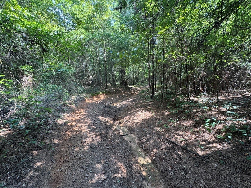 51 acres in SMITH County - photo 40