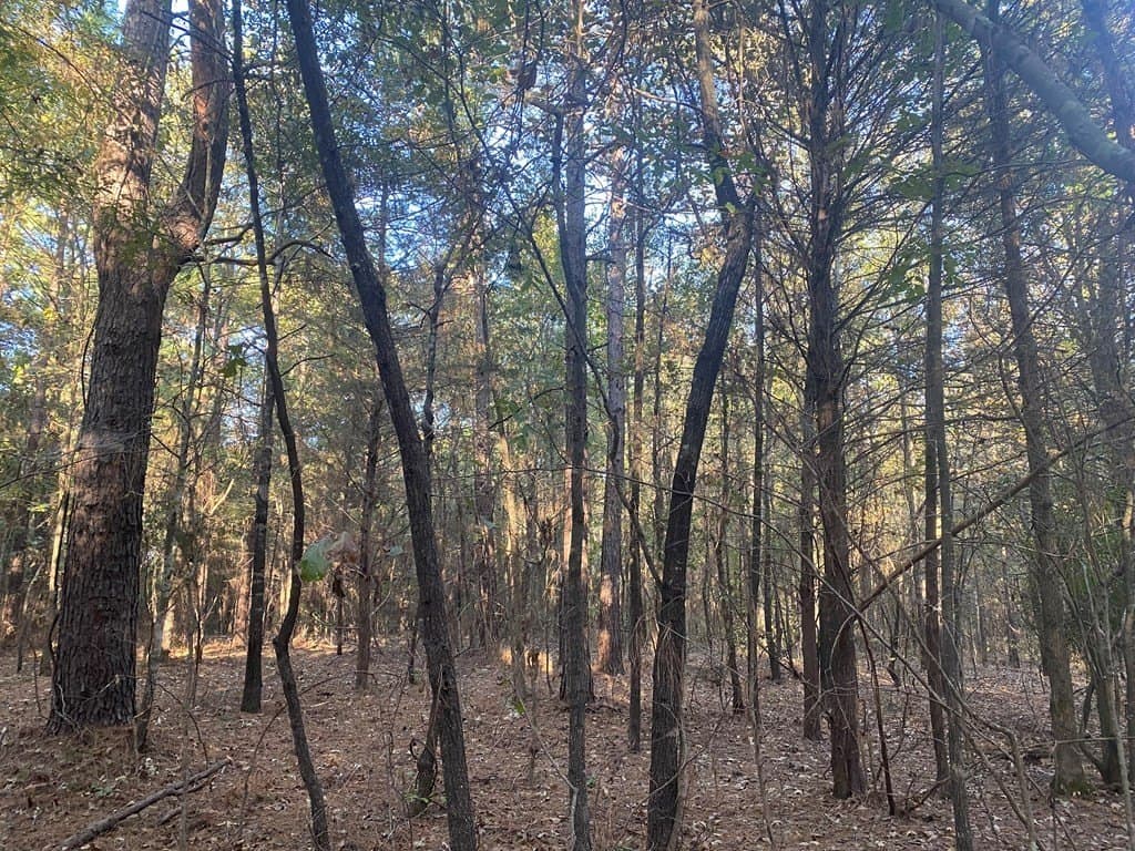 51 acres in SMITH County - photo 42
