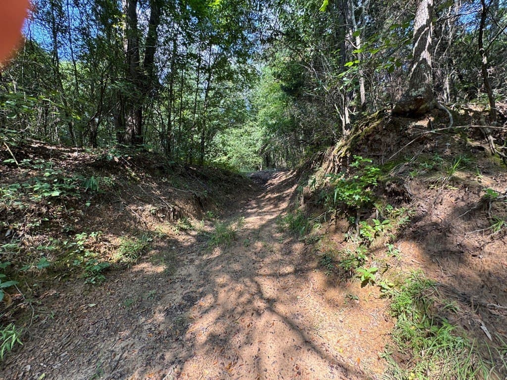 51 acres in SMITH County - photo 38