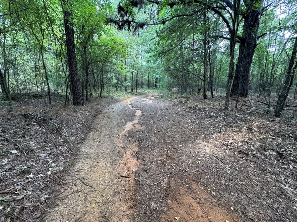 51 acres in SMITH County - photo 4