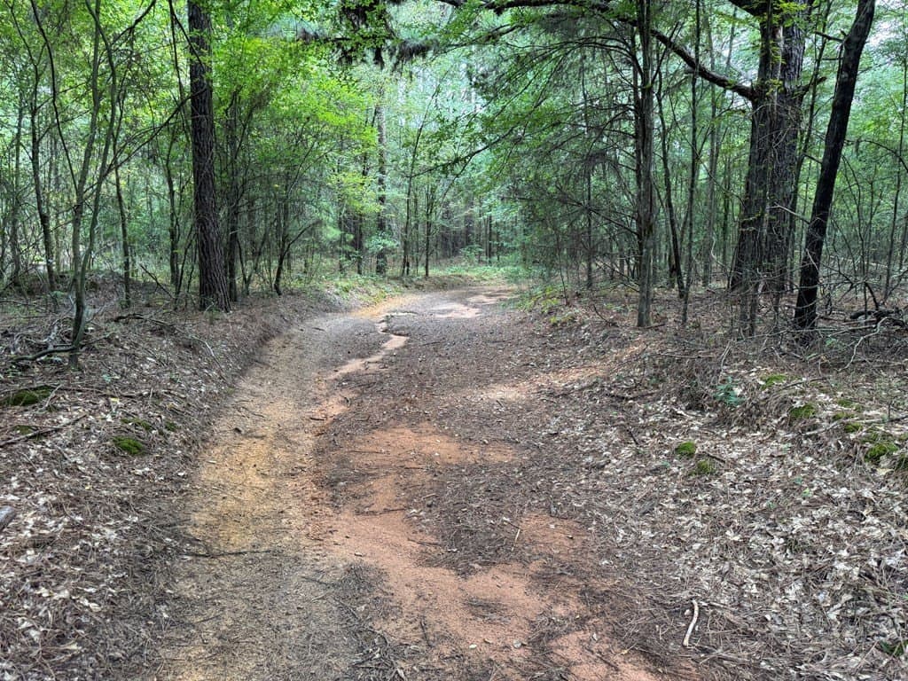 51 acres in SMITH County - photo 39