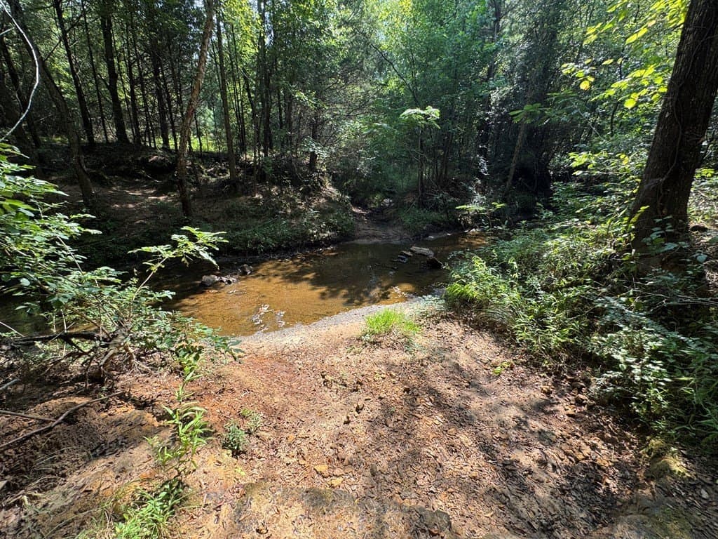 51 acres in SMITH County - photo 35