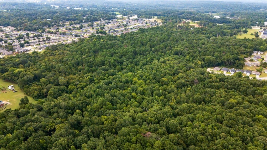 51 acres in SMITH County - photo 32