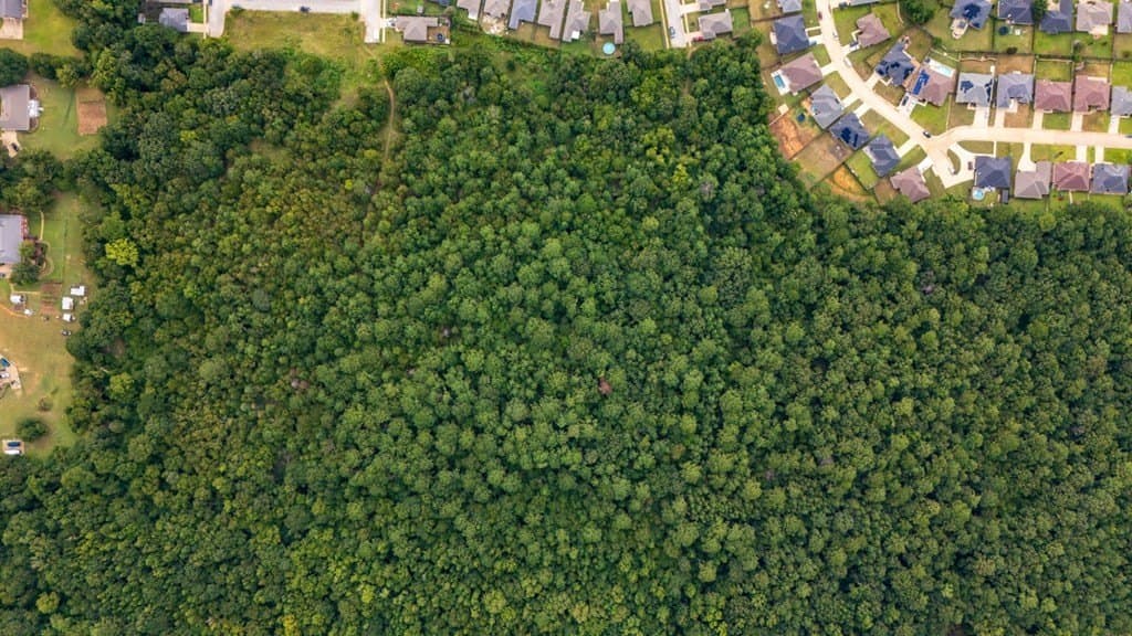 51 acres in SMITH County - photo 28