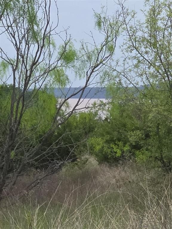 1.01 acres in Palo Pinto County - photo 8