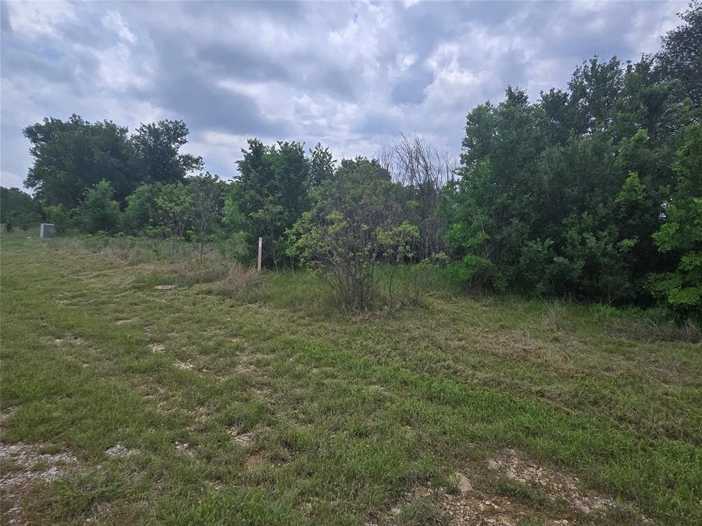 1.01 acres in Palo Pinto County - photo 7