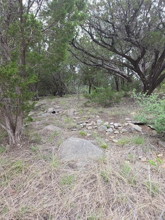 1.01 acres in Palo Pinto County - photo 3