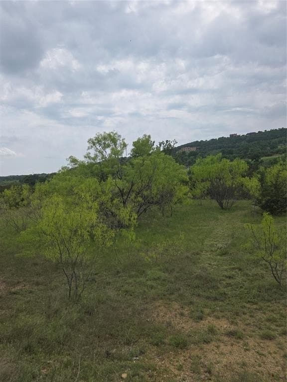 1.01 acres in Palo Pinto County - photo 10