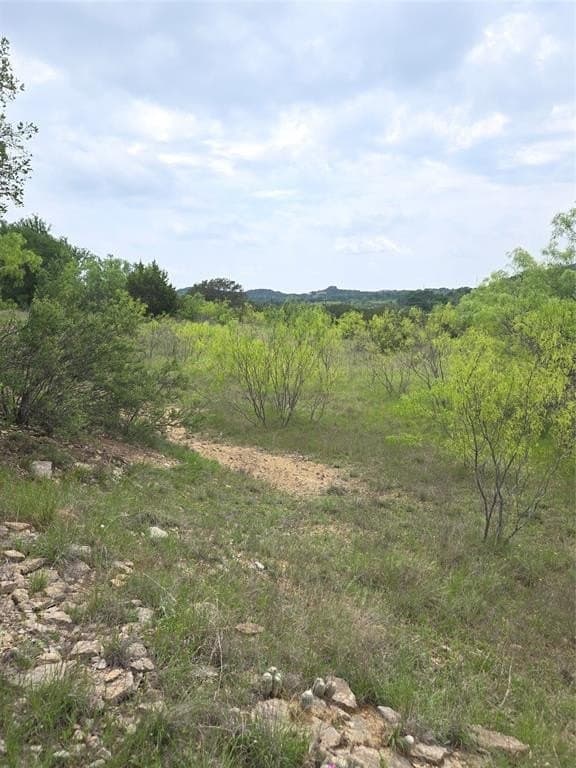 1.01 acres in Palo Pinto County - photo 9
