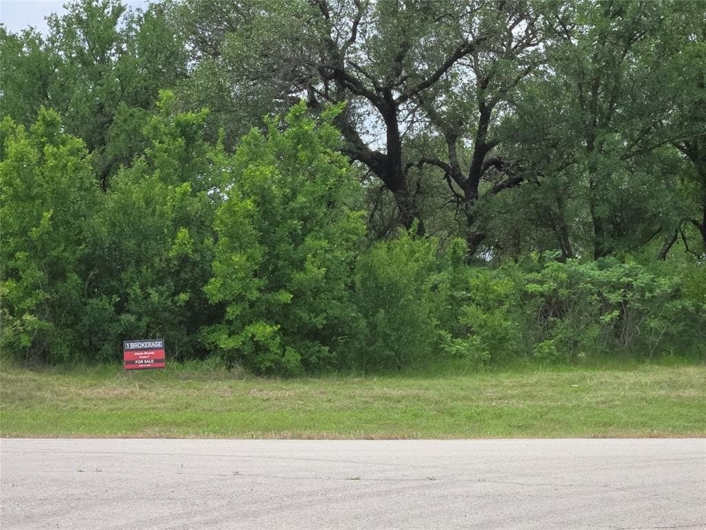 1.01 acres in Palo Pinto County - photo 2