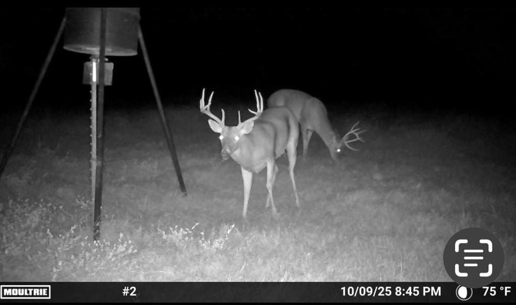 20 acres in Van Zandt County - photo 14