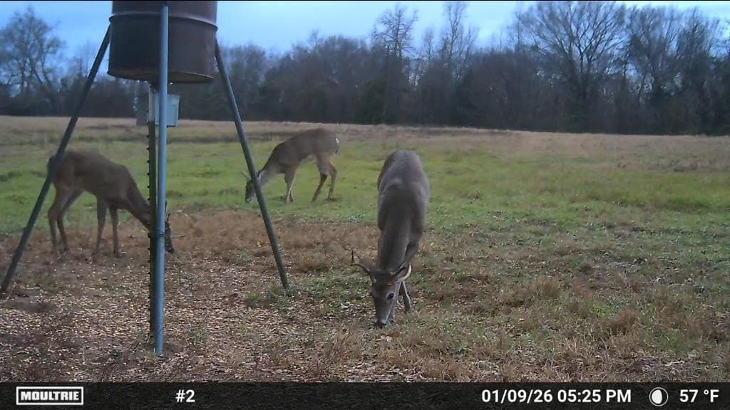 20 acres in Van Zandt County - photo 13