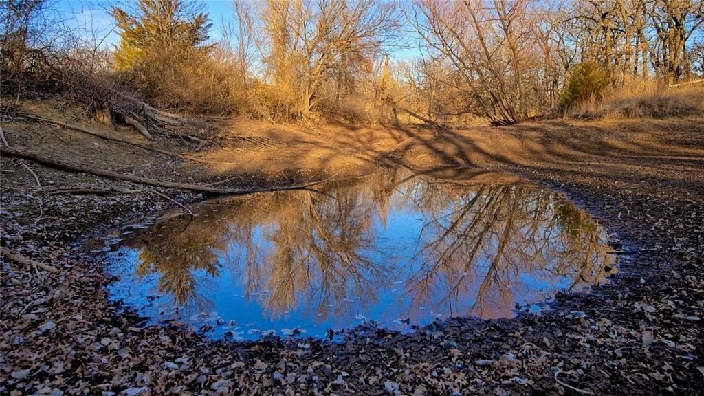 8 acres in Montague County - photo 27
