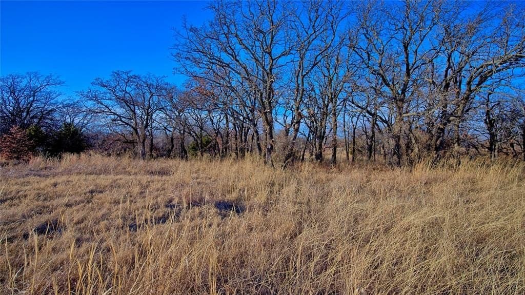 8 acres in Montague County - photo 4