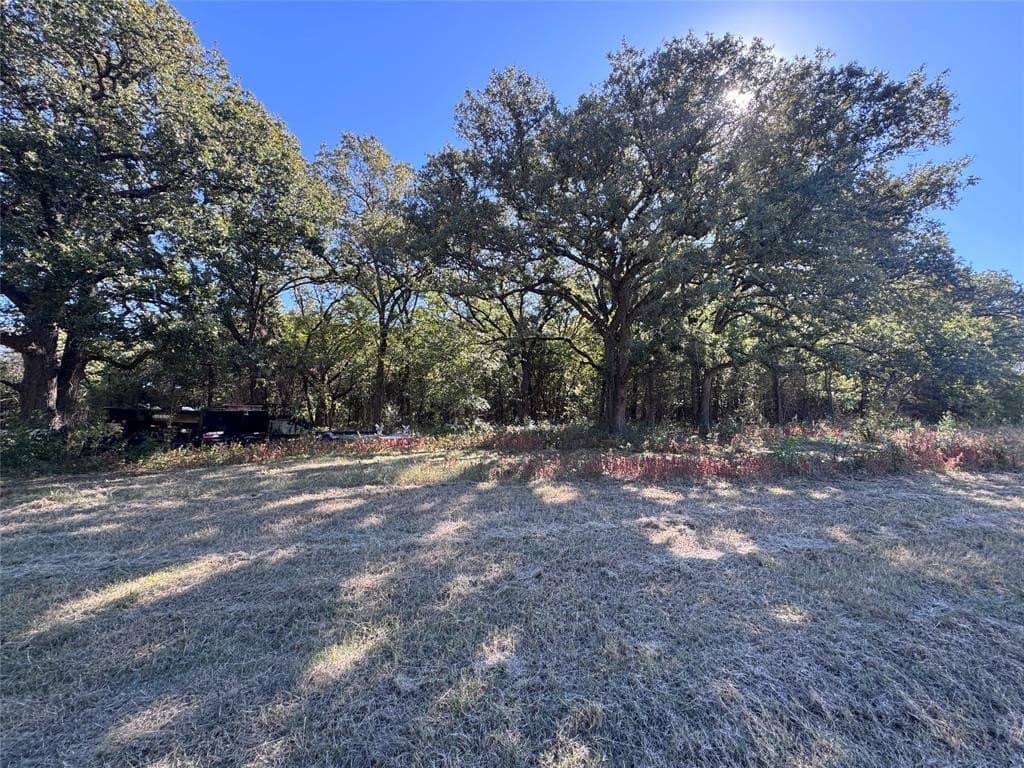 10 acres in Cooke County - photo 5