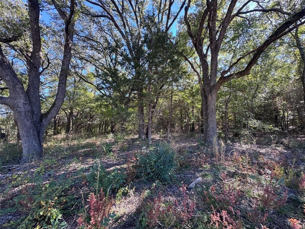 10 acres in Cooke County - photo 6