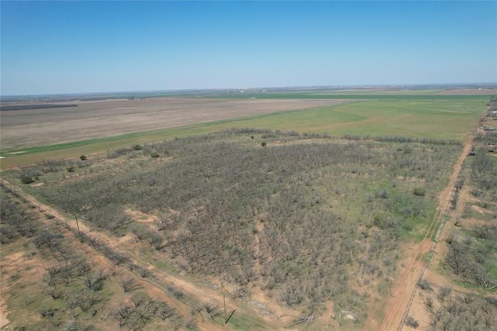 128.09 acres in Taylor County - photo 5