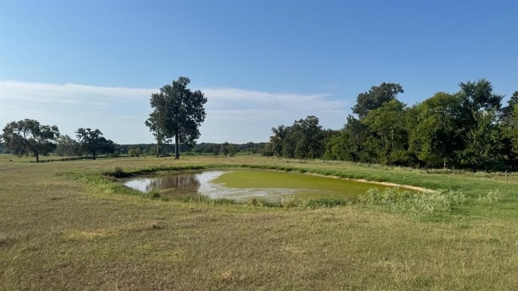 362 acres in Franklin (TX) County - photo 35