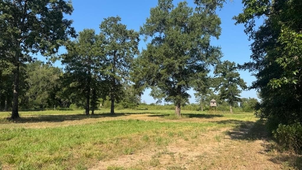 362 acres in Franklin (TX) County - photo 23