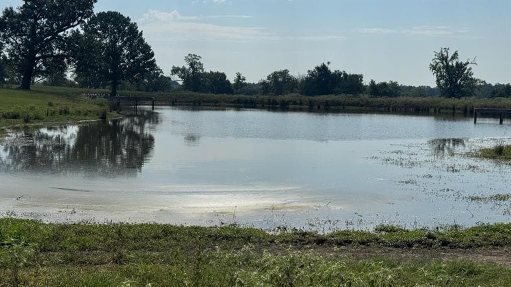 362 acres in Franklin (TX) County - photo 3