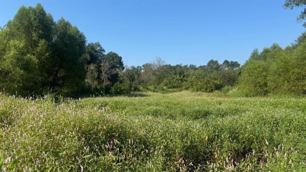 362 acres in Franklin (TX) County - photo 38