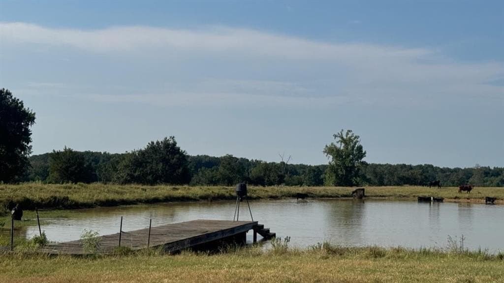 362 acres in Franklin (TX) County - photo 32