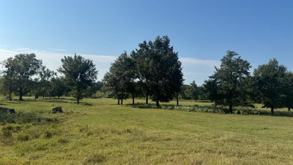 362 acres in Franklin (TX) County - photo 26