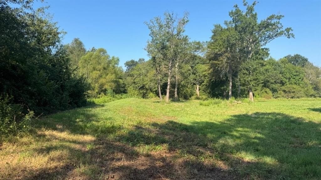 362 acres in Franklin (TX) County - photo 19