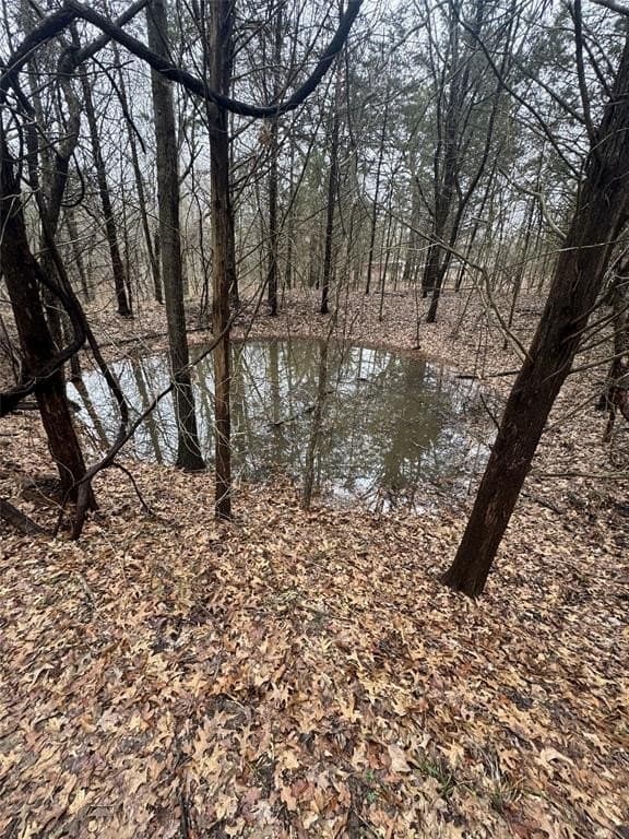 2.01 acres in Hunt County - photo 8