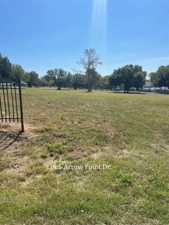0.33 acres in Parker County - photo 11