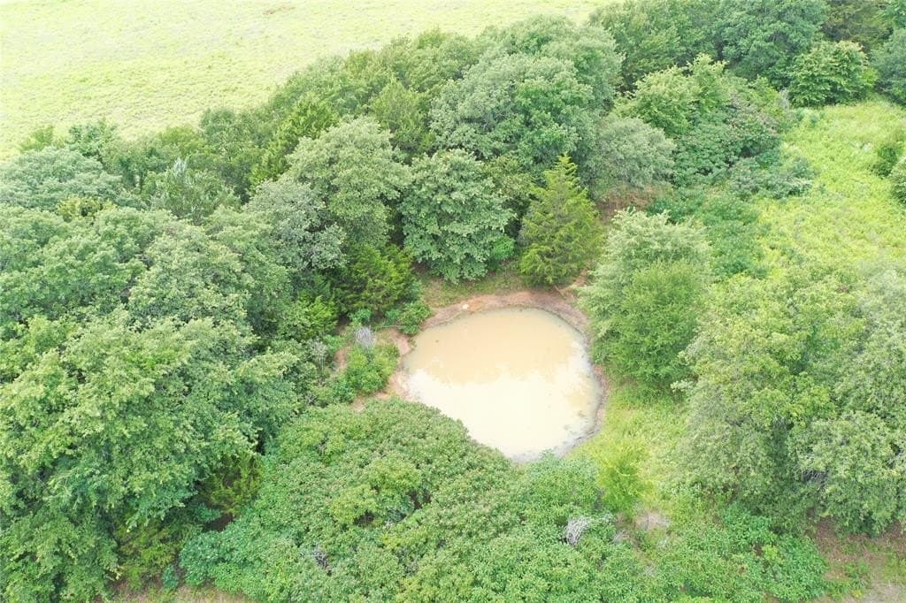 80 acres in Montague County - photo 3
