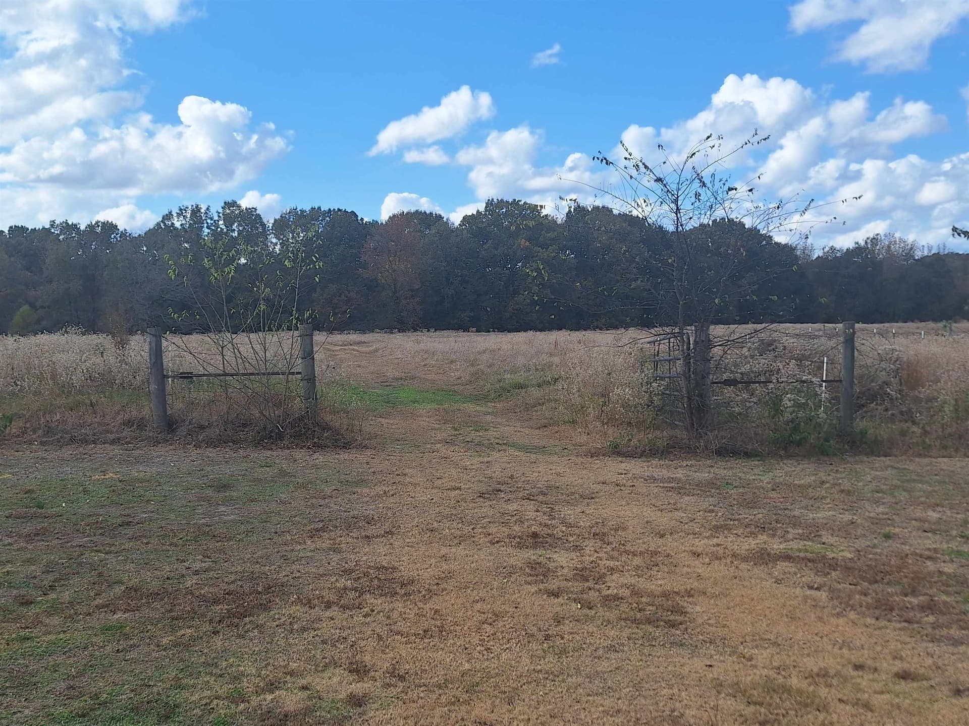 8.01 acres in Titus County - photo 3