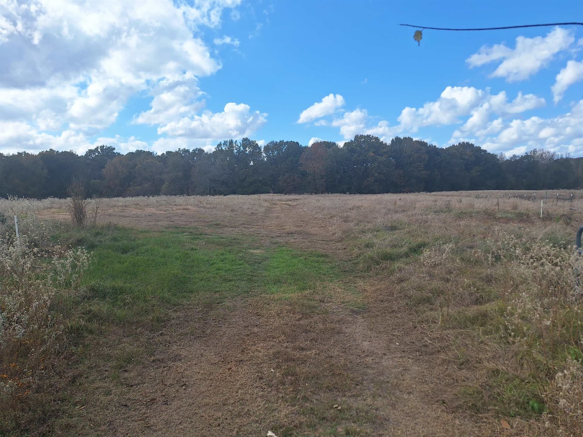 8.01 acres in Titus County - photo 2