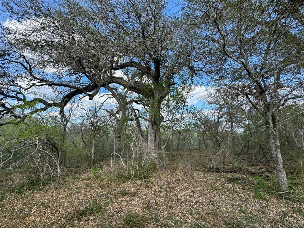 10 acres in Bee County - photo 18