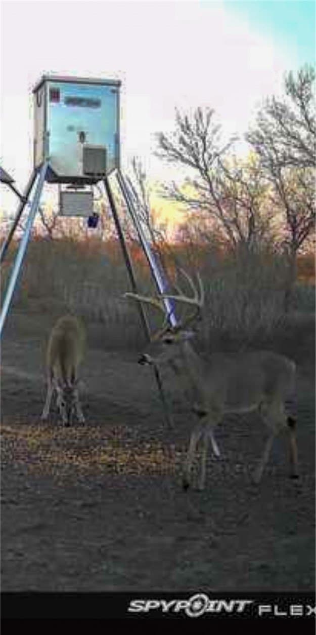 10 acres in Bee County - photo 20