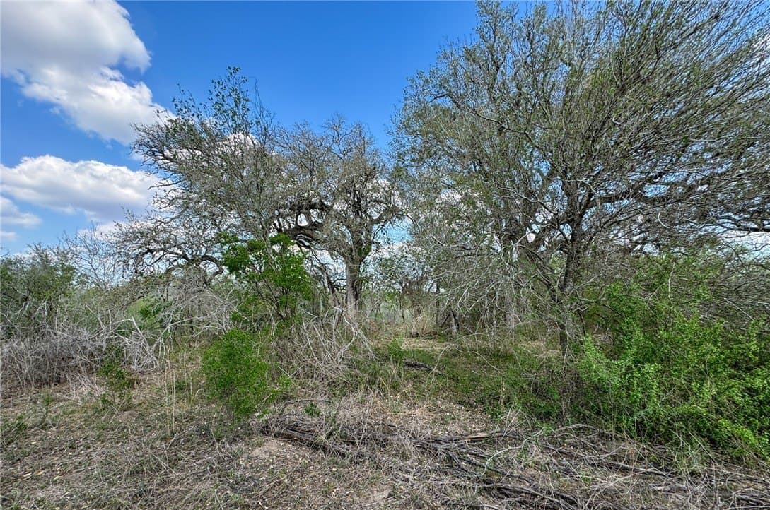 10 acres in Bee County - photo 17