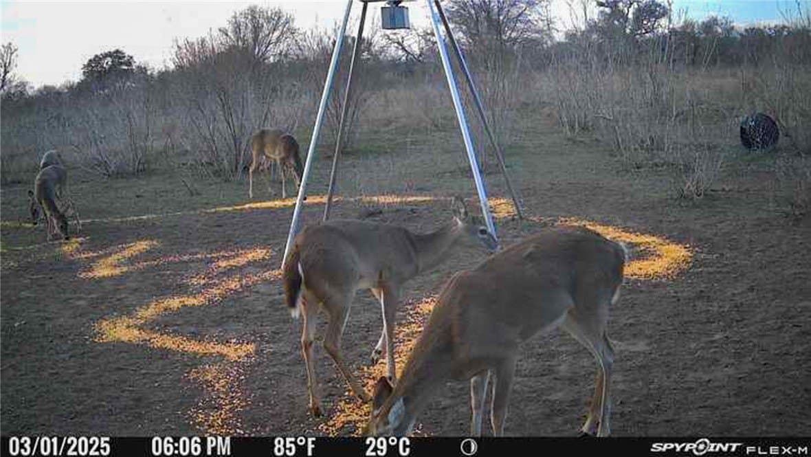 10 acres in Bee County - photo 9