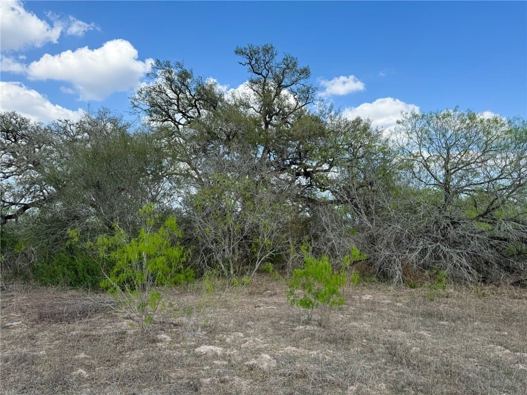 10 acres in Bee County - photo 16