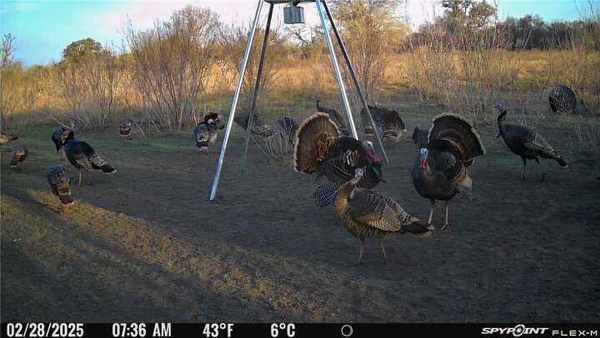 10 acres in Bee County - photo 6