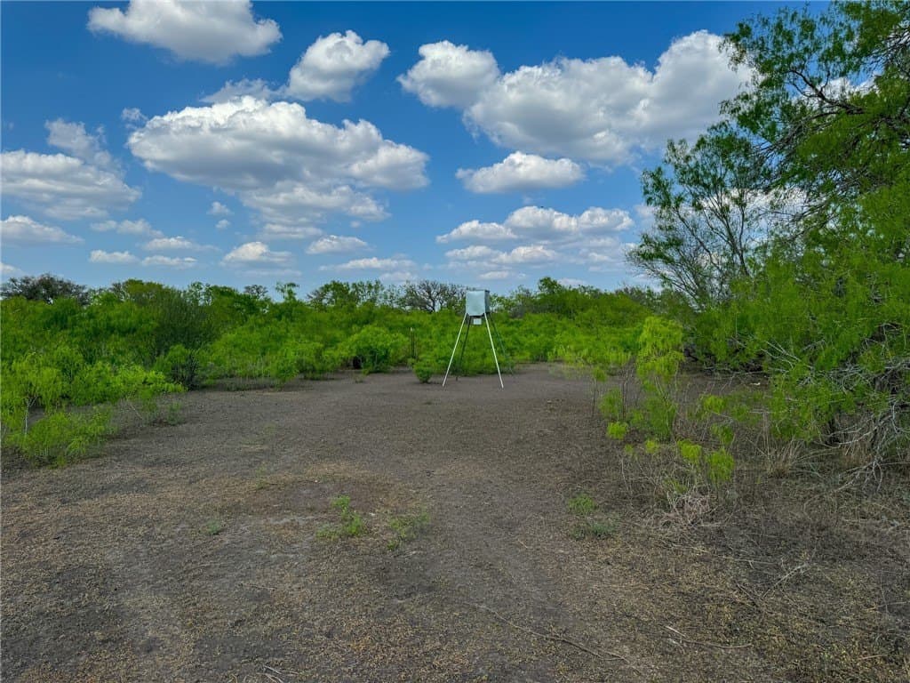 10 acres in Bee County - photo 10