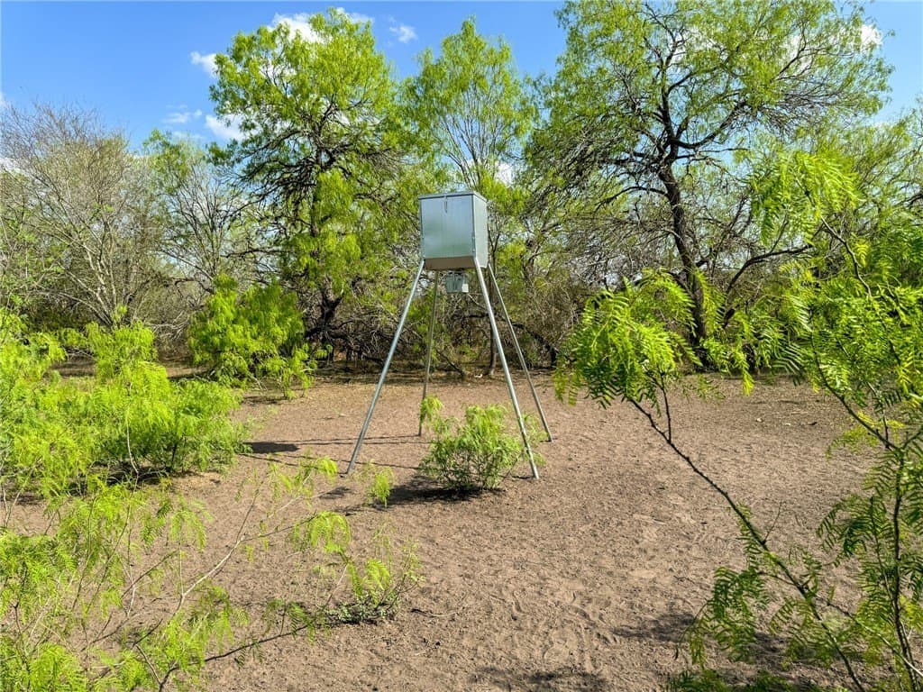 10 acres in Bee County - photo 2