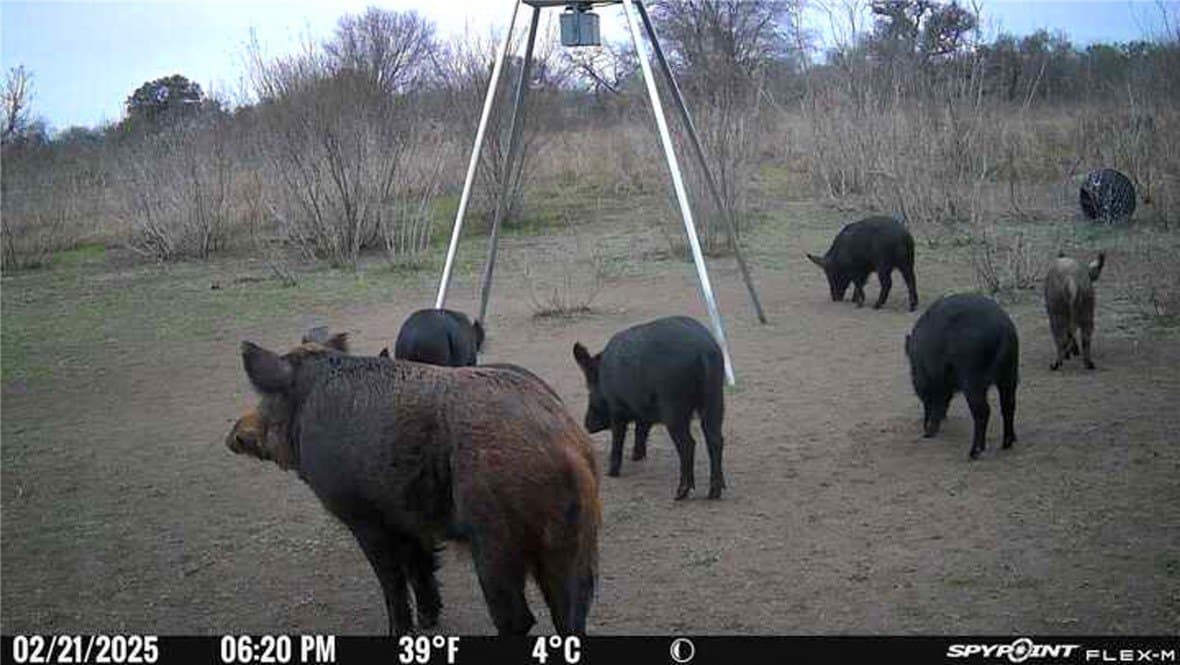 10 acres in Bee County - photo 3