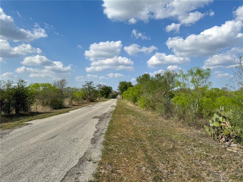 10 acres in Bee County - photo 19