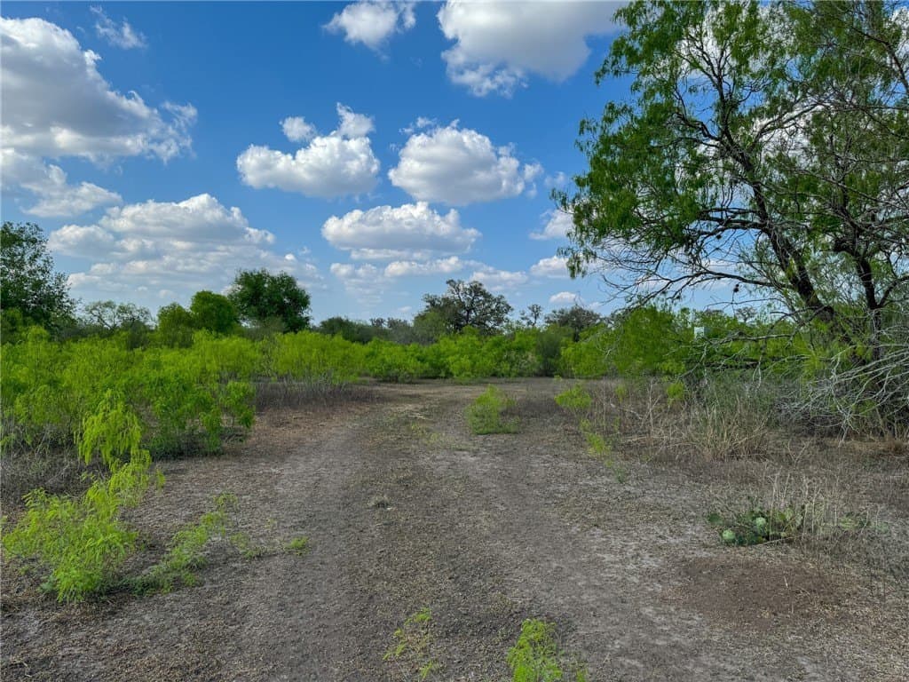10 acres in Bee County - photo 8