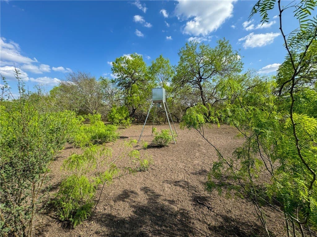 10 acres in Bee County - photo 4