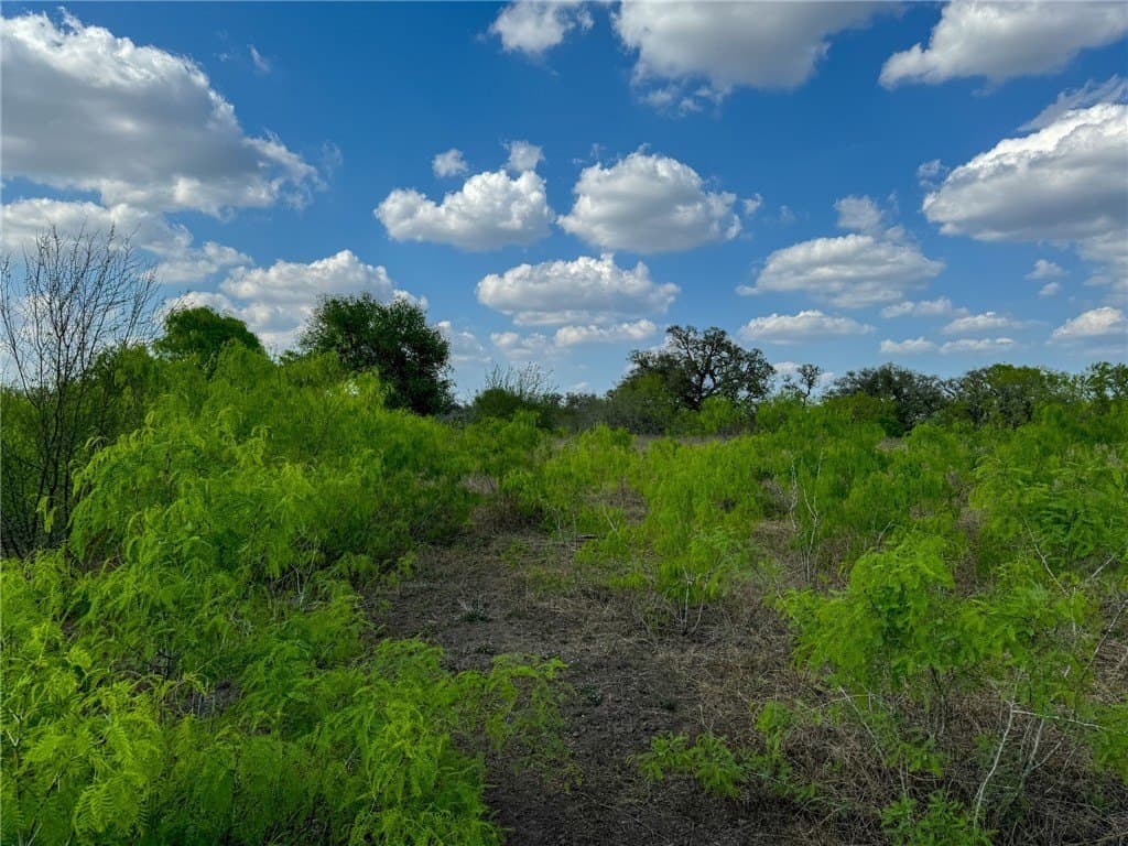 10 acres in Bee County - photo 11