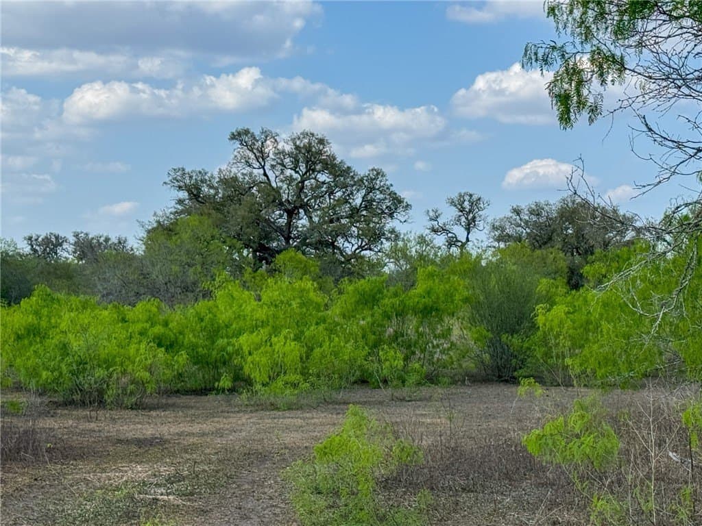 10 acres in Bee County - photo 7